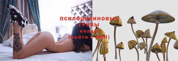 трава Арсеньев