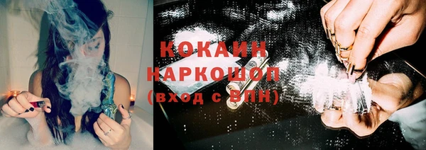 шишки Аркадак