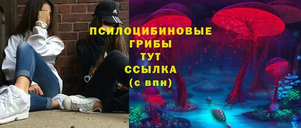 бутират Алзамай