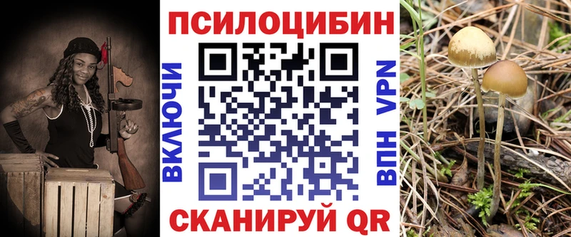 mega ссылки  Саров  Псилоцибиновые грибы прущие грибы  наркошоп 